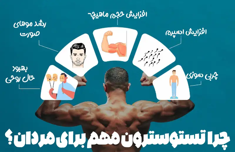 آیا ترک خودارضایی باعث افزایش تستوسترون می‌شود؟ بررسی علمی رابطه خودارضایی و هورمون مردانه