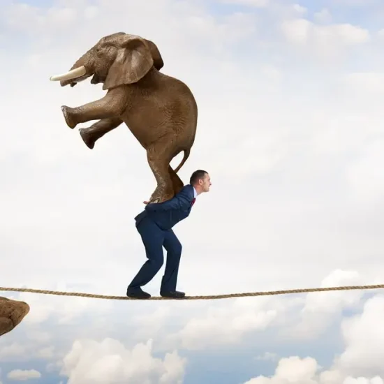 تاب‌آوری (Resilience): هنر برخاستن پس از هر زمین خوردن