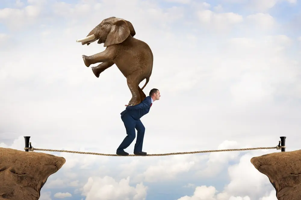 تاب‌آوری (Resilience): هنر برخاستن پس از هر زمین خوردن
